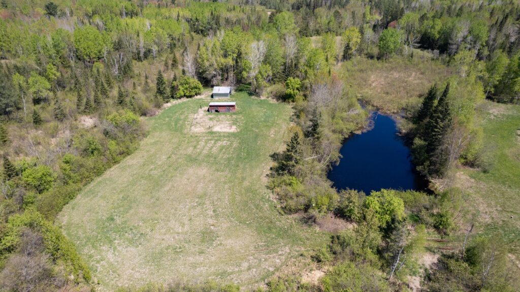 pond 2